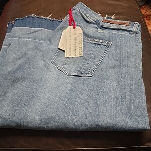 Stylish Blue Cropped Jeans